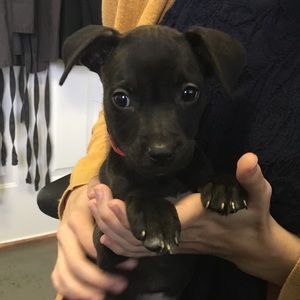 Meet your Posher, Cora